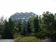 Western Michigan [2009] 318